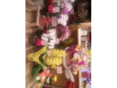 開店しました