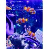 ●◎交通事故治療◎●むちうち/タクシー事故/追突事故《渋谷駅徒歩30秒/土・祝 診療中》
