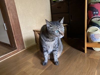 おはようございます。きょうもコロナに負けないハッピーな笑顔で頑張りましょう。