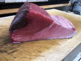 生本鮪がオススメでーす
