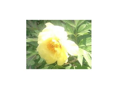 GWも終わりましたね。