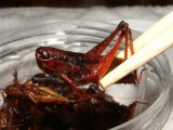 組合長のつぶやき 1月21日 朝