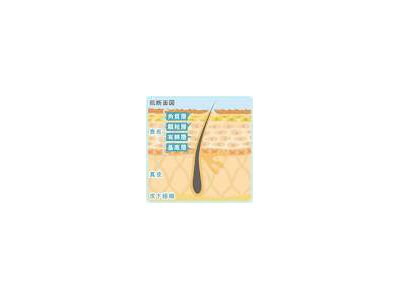 明日10/16はシンデレラお休みです。エステ王子のセミナーに行くぞ!!