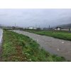 本日の川の様子です。