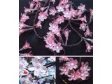 桜のイルミネーション（さくらちゃん）-1