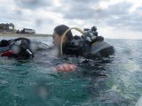 沖縄　ダイビング　ＰＡＤＩインストラクター資格整備コース