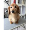 本日のお客様♪その2