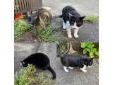 おはようございます。きょうもハッピーな笑顔で頑張りましょう。