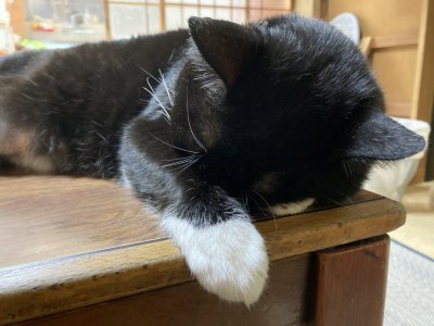 おはようございます。きょうも元気な笑顔で頑張りましょう。