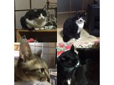 おはようございます。きょうも元気な笑顔でよろしくお願いいたします。