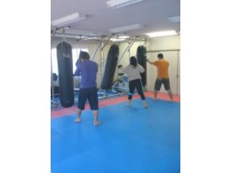 月\1000で始める総合格闘技