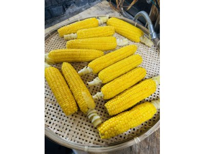 更新遅くなりましたが営業いたします