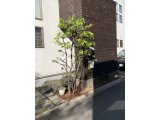 武蔵野市外構工事①