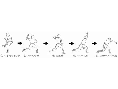 野球肘(内側上顆炎)になりやすい原因