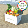 淡路島産規格外野菜ボックス - Sサイズ（お一人様向け）
