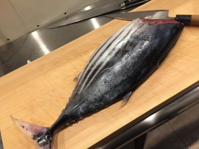 よう肥えとう。