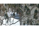 明日16日(木)6時～8時まで貸切です