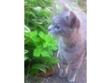 5月24日(火)の鑑定士