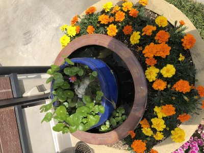 週末は花あかりで楽しんでください