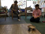 お手玉サッカー