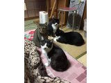 おはようございます。きょうもハッピーな笑顔でよろしくお願いいたします。
