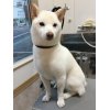 本日のお客様♪その2