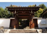NO JOURNEY NO LIFE 京都第9弾 #124 放生院