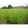 9/14【雨天…休養日】