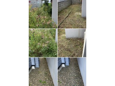 札幌市白石区菊水にて草刈り作業便利屋タクミ