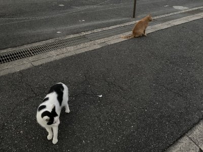 おはようございます。きょうもハッピーな笑顔で頑張りましょう。