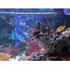 水槽に癒される♪交通事故治療院☆渋谷アクア整骨院☆労災取扱☆事故リハビリ