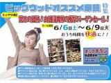 6月6日(土)～9日(火)はお値段異常の衝撃バーゲンセール！