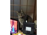 おはようございます。きょうも楽しい笑顔でよろしくお願いいたします。