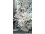 休暇