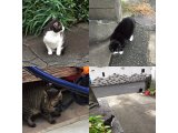 おはようございます。きょうも楽しい笑顔でよろしくお願いいたします。