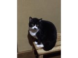 おはようございます。今年も一年ありがとうございました。