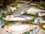 魚の刺身・焼き物・天ぷら・揚げ物・魚料理