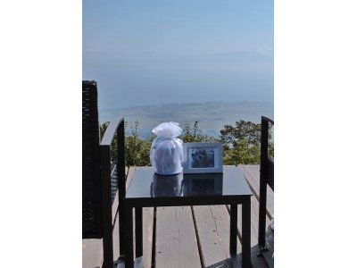 こうめと一緒に琵琶湖の絶景へ