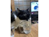 おはようございます。きょうも元気な笑顔で頑張りましょう。