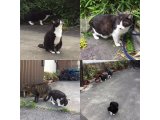 おはようございます。きょうもハッピーな笑顔で頑張りましょう。
