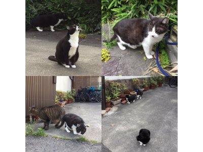 おはようございます。きょうもハッピーな笑顔で頑張りましょう。