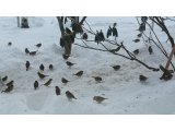 本日のご予約状況