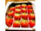 朝食後のデザート