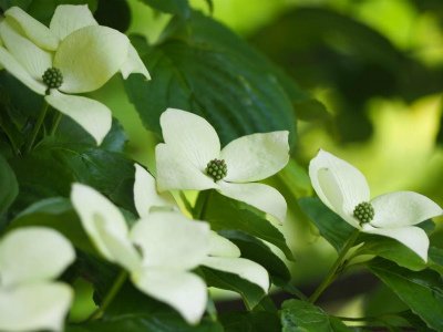 組合長のつぶやき 6月 3日 朝