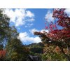 １６日（日）　奥日光へ