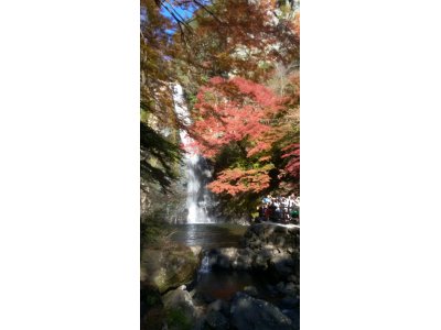 紅葉の箕面大滝