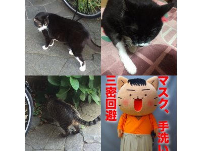 おはようございます。今月も元気な笑顔で頑張りましょう。