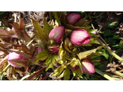 3月も終わり