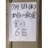 本日の川の様子と昨日の釣果です。 水位プラス25センチ