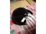 おはようございます。